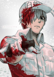 Rule 34 | 10s, 1boy, absurdres, blood, blood in hair, blood on clothes, blood on face, bloody knife, character name, gloves, hat, hataraku saibou, highres, holding, holding knife, index finger raised, jacket, kazeo-yuurin, knife, looking at viewer, male focus, silver hair, solo, u-1146, upper body, white gloves, white hat, white jacket
