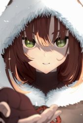 Rule 34 | 1girl, brown hair, fingerless gloves, fur jacket, gloves, green eyes, haruwo, highres, hood, jacket, looking at viewer, medium hair, open hand, original, outstretched arm, parted lips, portrait, reflection, shadow, simple background, solo, white background, wolf