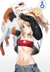 Rule 34 | 1girl, animal, aqua eyes, bandeau, black choker, blonde hair, breasts, cat, choker, cleavage, cleavage cutout, clothing cutout, commentary request, cropped jacket, fate/apocrypha, fate (series), gem, gradient background, grey background, grin, highres, holding, holding animal, holding cat, injury, jacket, long hair, midriff, mordred (fate), mordred (fate/apocrypha), navel, open clothes, open jacket, ponytail, scratches, sidelocks, small breasts, smile, solo, stomach, strapless, tonee, tube top, upper body, white background