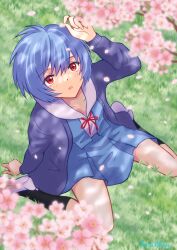 Rule 34 | 1girl, :o, absurdres, arm behind back, arm support, artist name, ayanami rei, bacillus, birthday, black socks, blue hair, blue skirt, blush, bow, bowtie, branch, cardigan, cherry blossoms, collarbone, commentary, dress shirt, falling petals, from above, grass, hair between eyes, hands up, highres, holding, holding petal, kneehighs, long sleeves, looking up, neck ribbon, neon genesis evangelion, on ground, open mouth, petals, pleated skirt, purple cardigan, red bow, red bowtie, red eyes, red ribbon, ribbon, sailor collar, school uniform, shirt, shoes, short hair, signature, sitting, skirt, socks, solo, spring (season), suspender skirt, suspenders, tokyo-3 middle school uniform, uwabaki, wariza, white footwear, white sailor collar, white shirt, wind