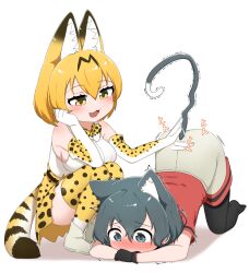 Rule 34 | 2girls, :3, absurdres, all fours, animal ears, bare shoulders, black gloves, black hair, black pantyhose, blonde hair, blue eyes, blush, cat ears, cat girl, cat tail, chis (js60216), elbow gloves, extra ears, fang, gloves, grey shorts, high-waist skirt, highres, kaban (kemono friends), kemono friends, kemonomimi mode, multiple girls, no shoes, pantyhose, patting, print gloves, print skirt, print thighhighs, red shirt, role reversal, serval (kemono friends), serval print, shirt, short hair, short sleeves, shorts, skirt, sleeveless, squatting, t-shirt, tail, thighhighs, white shirt, yellow eyes, zettai ryouiki