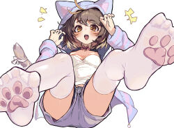 Rule 34 | 1girl, animal hood, bow, breasts, brown eyes, cat tail, cleavage, commentary request, commission, fangs, feet, foreshortening, full body, hair between eyes, hands up, hood, hooded jacket, indie virtual youtuber, jacket, legs, long sleeves, medium breasts, medium hair, no shoes, open mouth, paw pose, paw print soles, pink bow, pink jacket, purple jacket, purple shorts, shirt, short shorts, shorts, simple background, skeb commission, soles, solo, spread toes, striped clothes, striped jacket, swept bangs, tail, thighhighs, thighs, toes, virtual youtuber, white background, white shirt, white thighhighs, yoruhachi