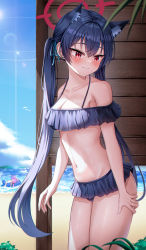 Rule 34 | 2girls, absurdres, animal ear fluff, animal ears, bikini, black hair, blue archive, blue sky, blush, breasts, cat ears, cat girl, cleavage, closed mouth, cloud, collarbone, day, frilled bikini, frills, from side, halo, highres, hoshino (blue archive), hoshino (swimsuit) (blue archive), inflatable toy, li se, long hair, looking to the side, medium breasts, multiple girls, navel, off-shoulder bikini, off shoulder, outdoors, red eyes, serika (blue archive), serika (swimsuit) (blue archive), sky, solo focus, sunlight, swimsuit, thighs, twintails, very long hair