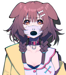 Rule 34 | 1girl, animal ears, bone hair ornament, braid, brown eyes, brown hair, character print, collar, commentary request, dog ears, dog girl, hair ornament, highres, hololive, hoso-inu, inugami korone, inugami korone (1st costume), long hair, looking at viewer, low twin braids, mask, mikan (chipstar182), mouth mask, simple background, solo, twin braids, upper body, virtual youtuber, white background