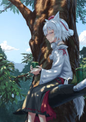 Rule 34 | 1girl, animal ear fluff, animal ears, bare shoulders, black skirt, blue sky, closed eyes, cloud, colored eyelashes, commentary request, cup, day, detached sleeves, feet out of frame, forest, from side, hair between eyes, hat, highres, holding, holding cup, inubashiri momiji, long sleeves, nature, outdoors, parted lips, pom pom (clothes), profile, roke (taikodon), shirt, short hair, silver hair, sitting, skirt, sky, solo, sword, tail, tassel, tokin hat, touhou, tree, weapon, white shirt, wide sleeves, wolf ears, wolf tail