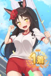 Rule 34 | 1girl, absurdres, alternate costume, alternate hairstyle, animal ears, black hair, blush, breasts, confetti, fang, gym uniform, hair down, highres, horse ears, horse tail, hukahito, large breasts, looking at viewer, marvelous sunday (umamusume), open mouth, shorts, sky, sweat, tail, umamusume, yellow eyes