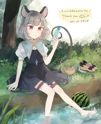 Rule 34 | 1girl, absurdres, animal ears, artist name, black dress, blue capelet, blush, bottle, bush, capelet, closed mouth, commentary, commentary request, commission, cup, dress, drinking glass, drinking straw, english commentary, food, fruit, gold trim, grass, grey hair, highres, holding, holding bottle, jewelry, mixed-language commentary, mouse (animal), mouse ears, mouse girl, mouse tail, mozukuzu (manukedori), nazrin, nazrin day, outdoors, pendant, puffy short sleeves, puffy sleeves, ramune, red eyes, river, second-party source, shirt, shoes, short hair, short sleeves, sitting, skeb commission, smile, socks, solo, splashing, tail, thank you, touhou, tree, unworn shoes, unworn socks, water, watermelon, white shirt, white socks, yellow innertube