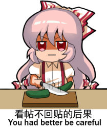 Rule 34 | 1girl, :|, bilingual, chinese text, closed mouth, cucumber, cutting, english text, fujiwara no mokou, hair ribbon, jitome, jokanhiyou, knife, long hair, looking at viewer, lowres, meme, mixed-language text, red eyes, ribbon, shaded face, simple background, solo, touhou, translation request, white background, white hair