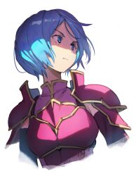 Rule 34 | 1girl, armor, blue eyes, blue hair, closed mouth, fire emblem, fire emblem: mystery of the emblem, fire emblem: shadow dragon and the blade of light, highres, looking to the side, medium hair, midia (fire emblem), nintendo, parted bangs, pauldrons, pink armor, shoulder armor, solo, upper body, yappo (point71)