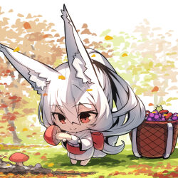 Rule 34 | 1girl, animal ear fluff, animal ears, barefoot, basket, chibi, closed mouth, commentary request, day, food, food request, fox ears, fox girl, fox tail, fruit, grapes, grey hair, hair between eyes, highres, holding, holding food, japanese clothes, kimono, long hair, long sleeves, mushroom, obi, original, outdoors, plant request, ponytail, red eyes, sash, smile, solo, standing, tail, very long hair, white kimono, wide sleeves, yuuji (yukimimi)