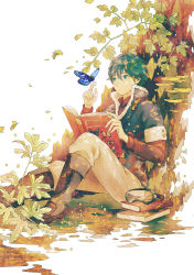 Rule 34 | 1boy, ame (conronca), blue eyes, blue hair, book, boots, bug, butterfly, goggles, bug, male focus, matching hair/eyes, open book, original, pants, short hair, sitting, solo, tree, under tree, white background