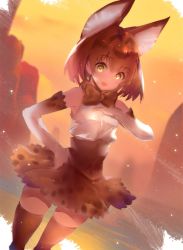 Rule 34 | 10s, 1girl, animal ears, armpits, bare shoulders, blush, bow, bowtie, cowboy shot, elbow gloves, gloves, hand on own hip, high-waist skirt, hitaki yuu, kemono friends, looking at viewer, open mouth, print bow, print bowtie, print neckwear, serval (kemono friends), serval print, shirt, short hair, skirt, sleeveless, sleeveless shirt, solo, thighhighs, white gloves, yellow bow, yellow bowtie, yellow thighhighs
