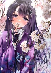 Rule 34 | 1girl, alternate costume, alternate hair length, alternate hairstyle, black hair, blurry, blurry background, blush, breasts, cherry blossoms, commentary request, commission, dated, flower, hair between eyes, hair ornament, hairclip, highres, himeyamayuri, indie virtual youtuber, japanese clothes, kimono, looking at viewer, medium breasts, mole, mole under eye, nagino mashiro, purple eyes, signature, skeb commission, solo, virtual youtuber