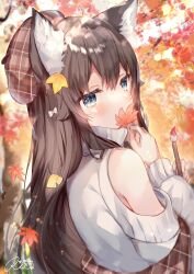 Rule 34 | 1girl, absurdres, animal ear fluff, animal ears, autumn, autumn leaves, blue eyes, hat, highres, holding, holding leaf, holding paintbrush, leaf, long hair, looking at viewer, maple leaf, non-web source, paintbrush, solo, sweater, tagme