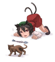 Rule 34 | 1girl, :d, ^^^, all fours, animal, animal ears, animal focus, bad id, bad pixiv id, bone, brown hair, cat, cat ears, cat tail, chen, earrings, female focus, fish, jewelry, kurione (zassou), open mouth, red eyes, simple background, smile, solo, tail, touhou, white background