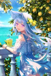 Rule 34 | 1girl, :d, absurdres, animal ears, bare shoulders, blue hair, blue ribbon, blush, cat ears, cat girl, cat tail, cokecoco, commentary request, cowboy shot, cup, day, disposable cup, dress, drink, drinking straw, flower, food, fruit, fruit hat ornament, fruit tree, hat, hat ornament, highres, lemon, lemon blossoms, lemonade, long hair, looking at viewer, looking back, ocean, off-shoulder dress, off shoulder, open mouth, original, outdoors, purple eyes, railing, ribbon, skirt, sky, smile, tail, tree, watch, white dress, white flower, white hat, wristwatch