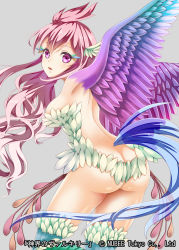 Rule 34 | 1girl, ass, back, bad id, bad pixiv id, bird legs, bird wings, breasts, butt crack, copyright name, fantasy, feather hair, feathered wings, feathers, grey background, hair between eyes, hakuda tofu, harpy, highres, long hair, looking back, monster girl, no panties, official art, shinkai no valkyrie, simple background, solo, very long hair, winged arms, wings