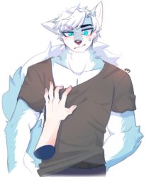 Rule 34 | 1boy, animal ears, animal nose, aqua eyes, belt, blue eyes, blue fur, blush, body fur, brown shirt, closed mouth, collarbone, commentary, denim, disembodied hand, furry, furry male, hand on another&#039;s chest, highres, jeans, original, pants, ressue (gomgom), shirt, signature, simple background, snout, sweatdrop, tail, two-tone fur, upper body, white background, white fur, white hair, wolf, wolf boy, wolf ears, wolf tail
