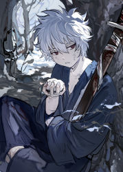 Rule 34 | 1boy, absurdres, bare tree, blood, blood on hands, blue kimono, bruise, bruise on face, commentary, gintama, highres, holding, indian style, injury, japanese clothes, kimono, long sleeves, looking away, male focus, on ground, outdoors, parted lips, qing yu, red eyes, sakata gintoki, scabbard, sheath, sheathed, short hair, sitting, snow, solo, sword, tree, weapon, white hair, wide sleeves