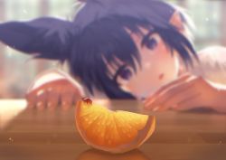 Rule 34 | 1girl, animal ears, black hair, blurry, blurry background, blush, bug, commentary request, day, depth of field, food, fruit, hair between eyes, head rest, highres, indoors, insect, ladybug, mano (narumi arata), narumi arata, open mouth, orange (fruit), orange slice, original, pointy ears, purple eyes, red eyes, short hair, solo, table, window