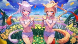 Rule 34 | 2girls, absurdres, animal ears, blonde hair, blue eyes, cat ears, cat girl, cat tail, commission, facial mark, fang, feathers, final fantasy, final fantasy xiv, flower, grey hair, hakusyokuto, high ponytail, highres, long hair, looking at viewer, miqo&#039;te, multiple girls, open mouth, orange flower, outdoors, petals, pink flower, skeb commission, tail, warrior of light (ff14), whisker markings, yellow feathers