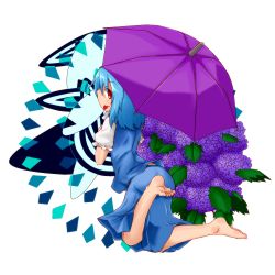 Rule 34 | 1girl, :p, barefoot, blue hair, commentary request, flower, full body, hydrangea, leaf, looking back, nama gomi (artist), puffy short sleeves, puffy sleeves, red eyes, short hair, short sleeves, simple background, skirt, smile, solo, tatara kogasa, tongue, tongue out, touhou, umbrella, vest, white background