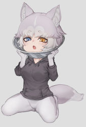Rule 34 | 1girl, animal ear fluff, animal ears, black hoodie, blue eyes, dog (mixed breed) (kemono friends), dog ears, dog girl, dog tail, drawstring, fang, gloves, grey background, grey hair, heterochromia, hood, hood down, hoodie, kemono friends, long sleeves, looking at viewer, multicolored hair, nyifu, open mouth, pantyhose, pet cone, short hair, simple background, sitting, solo, tail, two-tone hair, white gloves, white hair, white pantyhose, yellow eyes
