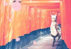 Rule 34 | 1girl, animal ears, dress, fox ears, fox tail, frilled skirt, frills, full body, fushimi inari taisha, hololive, long hair, multiple torii, noru nekomiya, shirakami fubuki, shirakami fubuki (street), skirt, tail, torii, virtual youtuber, white hair, wide sleeves