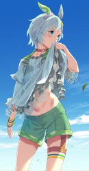 Rule 34 | 1girl, animal ears, blue eyes, blue hair, blue shirt, blue sky, blush, bracelet, choker, clothes lift, cloud, commentary request, day, green shorts, highres, horse ears, horse girl, jewelry, bridal garter, lifted by self, looking to the side, navel, red choker, seiun sky (umamusume), shirt, shirt lift, short hair, shorts, sky, solo, standing, stomach, sugarbeat, thighs, umamusume