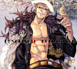 Rule 34 | 1boy, abs, animal on arm, animal print, banknote, belt, bird, birdcage, black shirt, blonde hair, cage, character name, dollar bill, donquixote doflamingo, earrings, english text, feather trim, holding, holding cage, jewelry, leopard print, luzy, money, muscular, muscular male, navel, one piece, open clothes, parrot, shirt, short hair, smile, solo focus, sunglasses, third-party source, yellow-framed eyewear