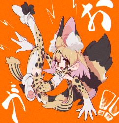 Rule 34 | 1girl, :d, absurdres, animal ear fluff, animal ears, blonde hair, bow, bowtie, brown eyes, elbow gloves, extra ears, full body, gao, gloves, hair between eyes, high-waist skirt, highres, huge filesize, kemono friends, leg up, looking at viewer, notora, open mouth, orange background, paw print soles, print bow, print bowtie, print gloves, print neckwear, print skirt, print thighhighs, serval, serval (kemono friends), serval print, shirt, short hair, simple background, skirt, smile, solo, striped tail, tail, thighhighs, traditional bowtie, white shirt