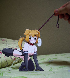 Rule 34 | 1girl, all fours, animal ears, bad id, bad pixiv id, bdsm, blush, breasts, collar, dog ears, dog tail, elbow gloves, garter belt, gloves, leash, nipples, nude, paper child, papercraft (medium), pee, peeing, pet play, photo (medium), sasaki yukinojou, solo focus, tail, thighhighs, translation request, unconventional media