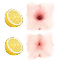 Rule 34 | 1girl, anus, before and after, commentary, english commentary, food, fruit, gaping, highres, lemon, lemon slice, meme, merrytail, multiple views, pussy, simple background, thour (meme), white background