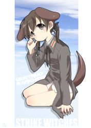 Rule 34 | 00s, 1girl, animal ears, brown eyes, brown hair, choco (moyasi), choko (moyasi), dog ears, dog tail, gertrud barkhorn, jacket, no pants, solo, strike witches, tail, twintails, uniform, world witches series
