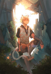 Rule 34 | 1boy, animal ears, blonde hair, bug, butterfly, cat ears, cat tail, highres, insect, konoe (lamento), lamento, male focus, naked cat, original, short hair, sitting, smile, solo, tail, yellow eyes