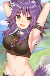 Rule 34 | 1girl, animal ear fluff, animal ears, armpits, arms behind head, bare arms, bare shoulders, blurry, blurry background, blush, breasts, cloud, commentary request, crop top, day, depth of field, fang, frown, groin, highres, large breasts, looking at viewer, makoto (princess connect!), masa masa, medium hair, midriff, navel, open mouth, outdoors, princess connect!, purple hair, sleeveless, solo, stomach, sweat, tail, upper body, v-shaped eyebrows, wolf ears, wolf tail, yellow eyes