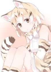 Rule 34 | 10s, 1girl, :o, akagashi hagane, animal ears, bare shoulders, blonde hair, blouse, bow, bowtie, breasts, cat ears, cat girl, cat tail, elbow gloves, expressionless, eyelashes, from side, fur trim, gloves, kemono friends, legs together, looking at viewer, medium breasts, multicolored background, multicolored hair, open mouth, pink background, sand cat (kemono friends), sanpaku, shirt, short hair, simple background, sitting, skirt, sleeveless, sleeveless shirt, socks, solo, streaked hair, tail, tareme, white background, white shirt
