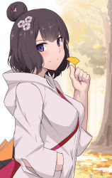 Rule 34 | 1girl, black hair, blue eyes, day, fate/grand order, fate (series), from side, grey sweater, hair bun, hand in pocket, holding, hood, hood down, hooded sweater, katsushika hokusai (fate), katsushika hokusai (traveling outfit) (fate), leaf, looking at viewer, official alternate costume, outdoors, shiseki hirame, short hair, single hair bun, smile, solo, sweater, upper body