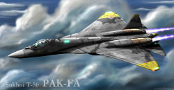 Rule 34 | ace combat, ace combat 04, afterburner, aircraft, airplane, artist name, cloud, cockpit, fighter jet, flying, helmet, jet, military, military vehicle, no humans, pak fa, pilot suit, realistic, t-50, vehicle focus, yellow 13, yellow squadron, zephyr164