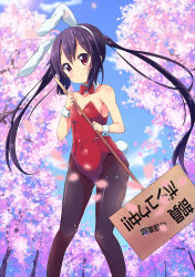 Rule 34 | 1girl, animal ears, bad id, bad pixiv id, black hair, black pantyhose, bow, bowtie, cherry blossoms, covered navel, detached collar, fake animal ears, flat chest, hairband, holding, holding sign, k-on!, kurou (quadruple zero), leotard, long hair, looking at viewer, nakano azusa, pantyhose, petals, placard, playboy bunny, rabbit ears, rabbit tail, red eyes, sign, solo, tail, tears, translated, tree, twintails, wrist cuffs