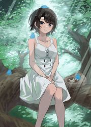 Rule 34 | 1girl, absurdres, bare shoulders, bird, bird nest, black hair, blue bird, blue eyes, blush, buttons, closed mouth, collarbone, double-breasted, dress, egg, feet out of frame, hands on lap, highres, hololive, in tree, knees together feet apart, light rays, looking at viewer, oozora subaru, short hair, sitting, sitting in tree, sl10 d, smile, solo, sunbeam, sunlight, swept bangs, tree, virtual youtuber, white dress