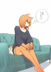 Rule 34 | 1girl, absurdres, al (flying witch), animal ears, black shirt, couch, dog ears, dog tail, dolphin shorts, female focus, flying witch, furry, furry female, highres, inukai (flying witch), ishizuka chihiro, orange hair, own hands clasped, shirt, shorts, simple background, sitting, solo, tail, thought bubble, white background