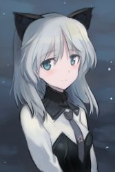Rule 34 | 1girl, animal ears, blue background, blue eyes, cat ears, dark background, grey hair, looking at viewer, lowres, necktie, aged up, sanya v. litvyak, shimada fumikane, snow, solo, strike witches, uniform, upper body, winter, world witches series