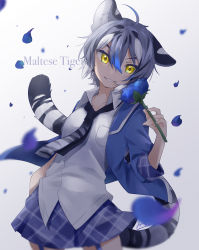 Rule 34 | 1girl, absurdres, ahoge, animal ears, animal print, arm at side, black hair, blue flower, blue hair, blue jacket, blue rose, blue skirt, blurry, blurry foreground, breast pocket, cat girl, character name, collarbone, collared shirt, cowboy shot, fingernails, flower, garter straps, grey hair, grin, hair between eyes, hand up, highres, holding, holding flower, isobee, jacket, kemono friends, leaning to the side, looking at viewer, maltese tiger (kemono friends), miniskirt, multicolored hair, necktie, open clothes, open jacket, petals, plaid, plaid skirt, plaid sleeves, pocket, print necktie, print neckwear, rose, shirt, short hair, signature, skirt, smile, solo, tail, tiger ears, tiger girl, tiger print, tiger tail, v-shaped eyebrows, white hair, white shirt, wing collar, wins, yellow eyes