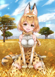 Rule 34 | 10s, 1girl, animal ears, blush, bow, bowtie, breasts, elbow gloves, gloves, highres, kemono friends, large breasts, looking at viewer, multicolored clothes, multicolored gloves, omoomomo, open mouth, orange bow, orange bowtie, orange eyes, orange gloves, orange hair, orange skirt, orange thighhighs, serval (kemono friends), serval tail, short hair, sitting, skirt, smile, solo, tail, thighhighs, tree, wariza, white gloves