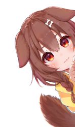 Rule 34 | 1girl, :3, absurdres, animal ears, brown eyes, brown hair, closed mouth, dog ears, dog girl, dog tail, highres, hololive, inugami korone, inugami korone (1st costume), kohe billialot, lips, looking at viewer, solo, tail, virtual youtuber, wallpaper
