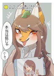 Rule 34 | 1girl, animal ear fluff, animal ears, breasts, brown cardigan, brown hair, cardigan, cellphone, check translation, collared shirt, fox ears, fox girl, furry, furry female, grey background, grey shirt, highres, holding, holding phone, leaf, leaf on head, long hair, medium breasts, misotsuki ayabe, open mouth, orange eyes, original, parody, phone, pillarboxed, pointing, portrait, shirt, smartphone, smile, snout, solo, speech bubble, tongue, tongue out, translation request