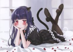 Rule 34 | 1girl, absurdres, animal ears, black bow, black dress, black footwear, black pantyhose, black ribbon, blue hair, blunt bangs, blunt ends, blush, bow, braid, brooch, cat ears, cat girl, cat tail, closed mouth, dark blue hair, dress, eluthel, falling petals, feet up, flower, frilled dress, frills, full body, hair bow, half updo, hands on own cheeks, hands on own face, head rest, highres, idolmaster, idolmaster cinderella girls, indoors, jewelry, kemonomimi mode, legs up, long hair, looking at viewer, lying, neck ribbon, non-web source, on stomach, pantyhose, pendant, petals, petticoat, plaid, plaid dress, puffy short sleeves, puffy sleeves, red eyes, red flower, red rose, ribbon, rose, rose petals, sajo yukimi, scan, shoes, short sleeves, skirt, smile, solo, tail, tail raised, the pose, very long hair, window