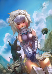 Rule 34 | 1girl, 2011, armor, barioth (armor), barrel, belt, capcom, cloud, covering privates, dated, dutch angle, felyne, melynx, monster hunter (series), outdoors, pickaxe, sky, tagme, white hair