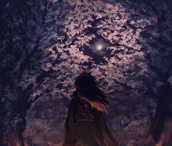 Rule 34 | 1boy, black hair, cherry blossoms, commentary request, from behind, full moon, highres, klenschheim, long hair, male focus, moon, naruto (series), naruto shippuuden, night, outdoors, uchiha madara